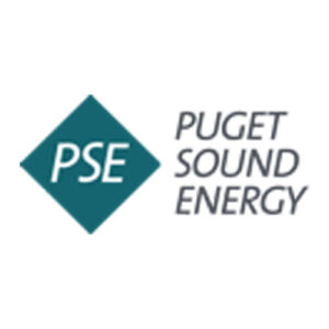 PSE Logo