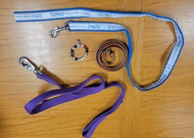 lost & found leash, belt, bracelet