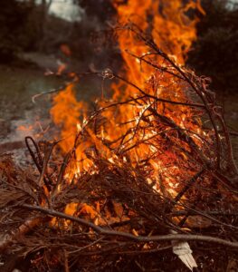 burning brush pile by Johnny Thorpe, johnnygthorpe11