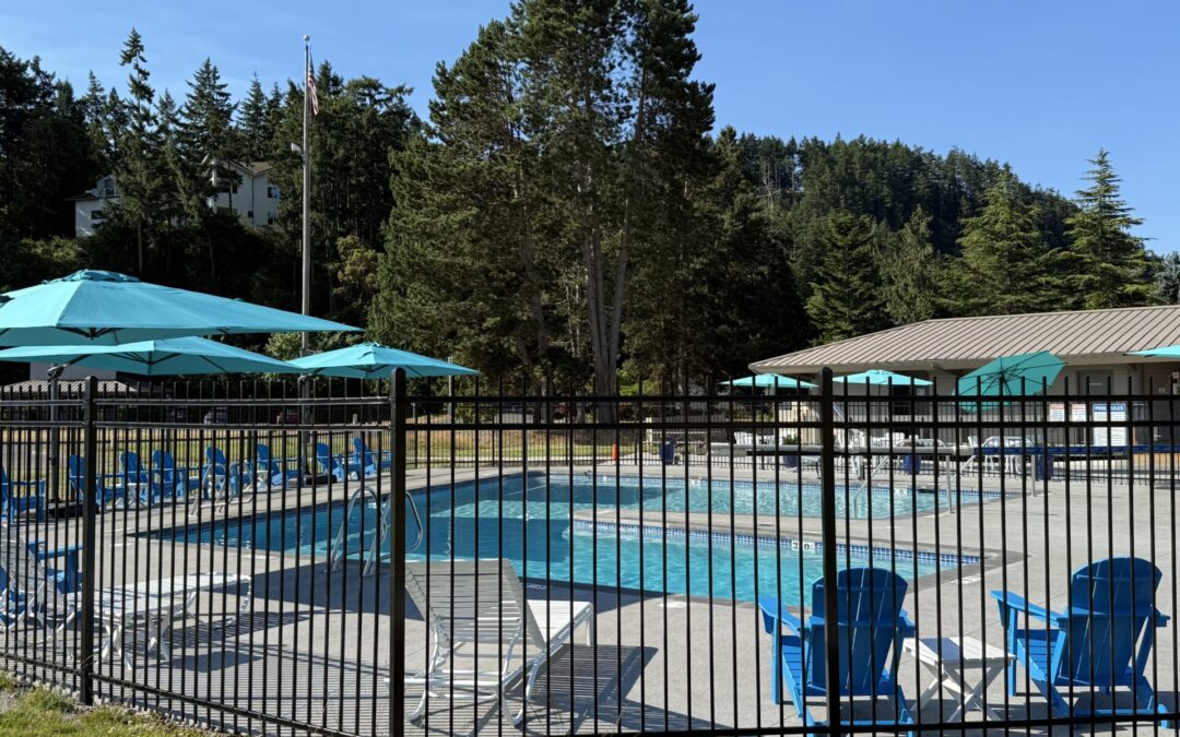 Shelter Bay Pool