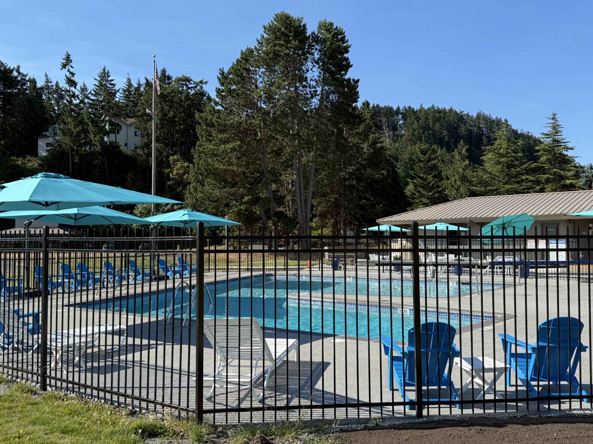 SB Pool 2025.07 Shelter Bay Pool