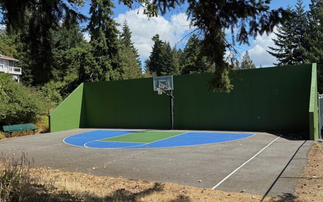 Half-court Basketball Court