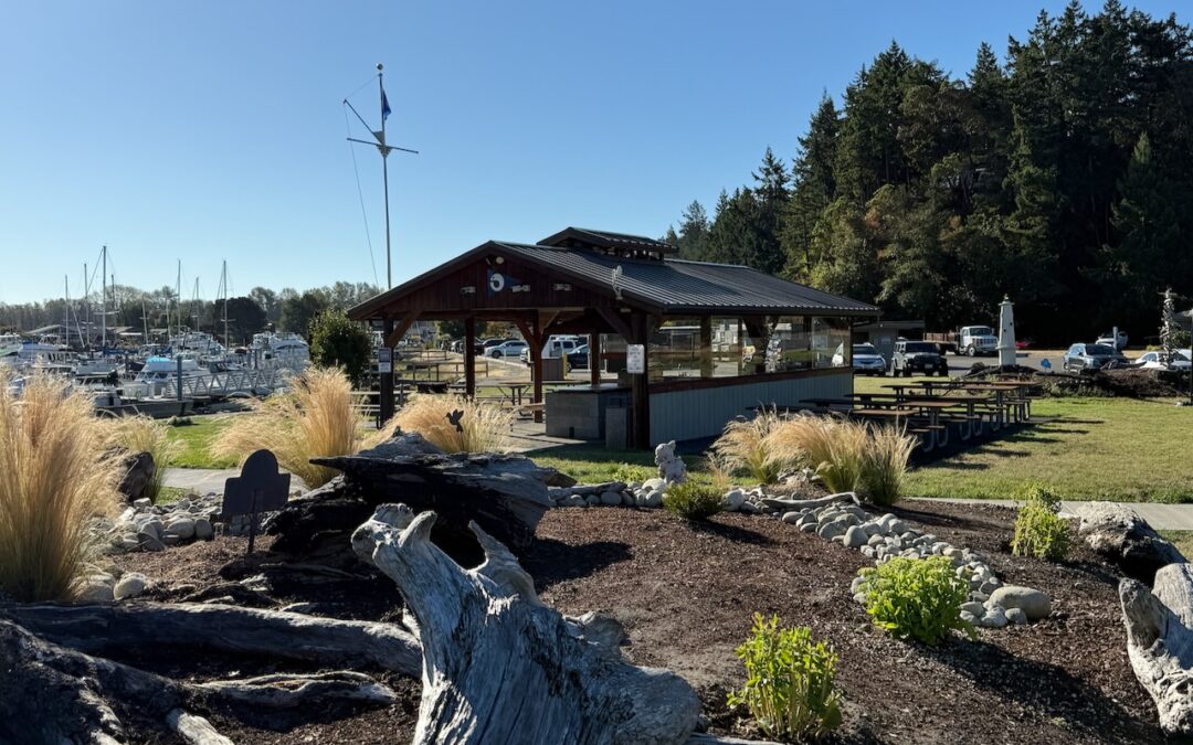 Discover Shelter Bay’s BBQ Pavilion: Your Community Gathering Spot!