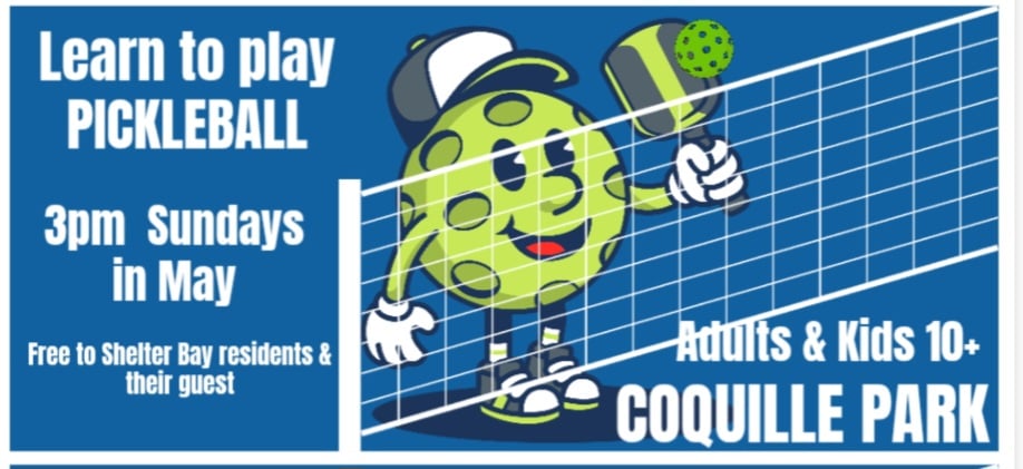 Pickleball update